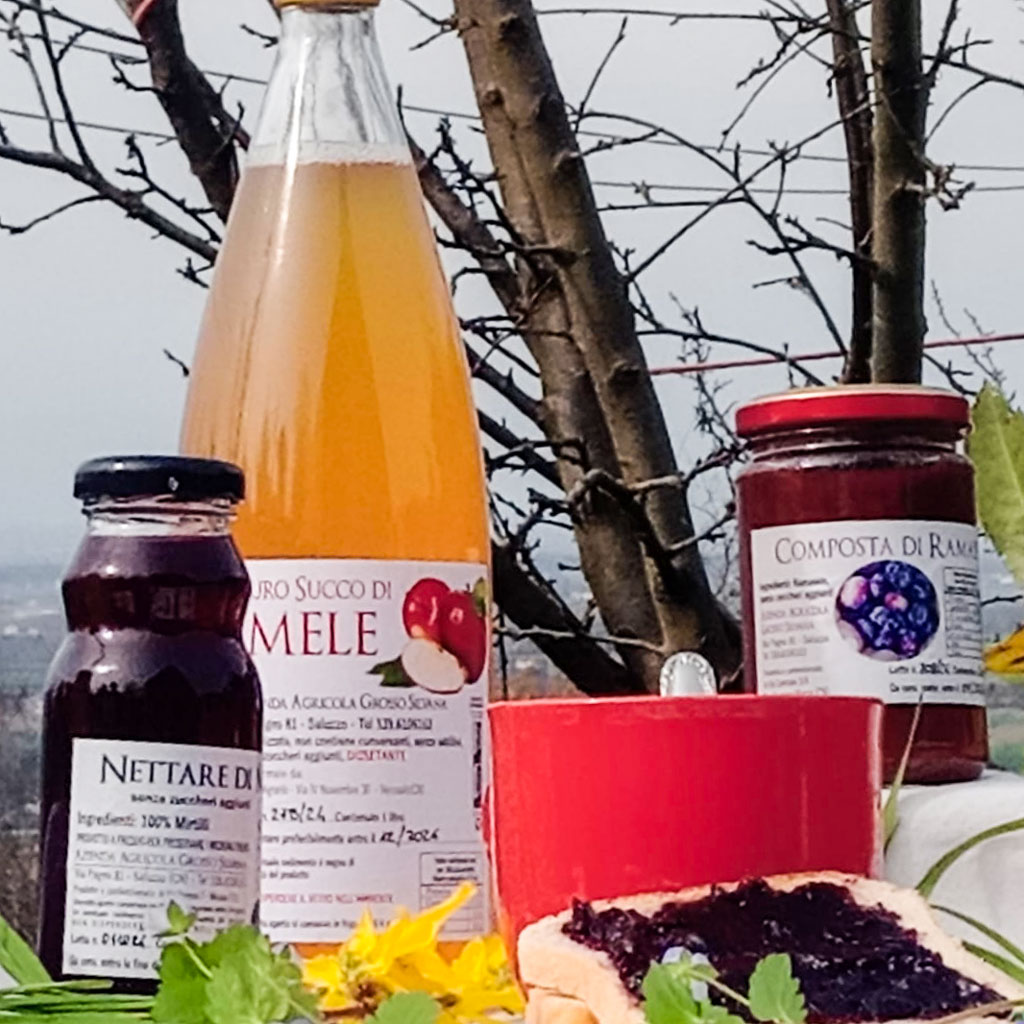 Composte di frutta artigianali della Valle Bronda